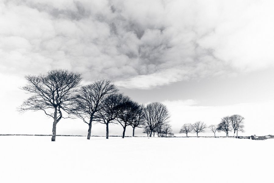 Paysage en noir et blanc