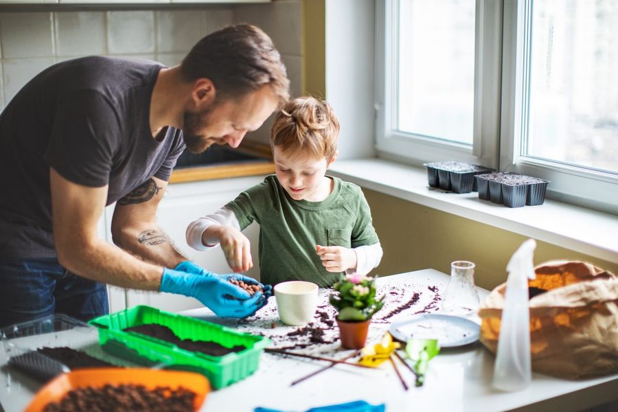 Un papa et son fils faisant un mini potager