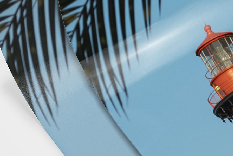 Une photo papier mat et brillant côte à côte d'une feuille de palmier.