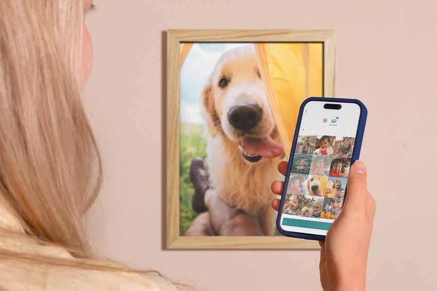Une femme regarde les photos de sa pellicule sur son téléphone, avec une photo encadrée de Labrador au mur derrière elle, illustrant comment organiser ses photos numériques et choisir les meilleurs souvenirs à imprimer.