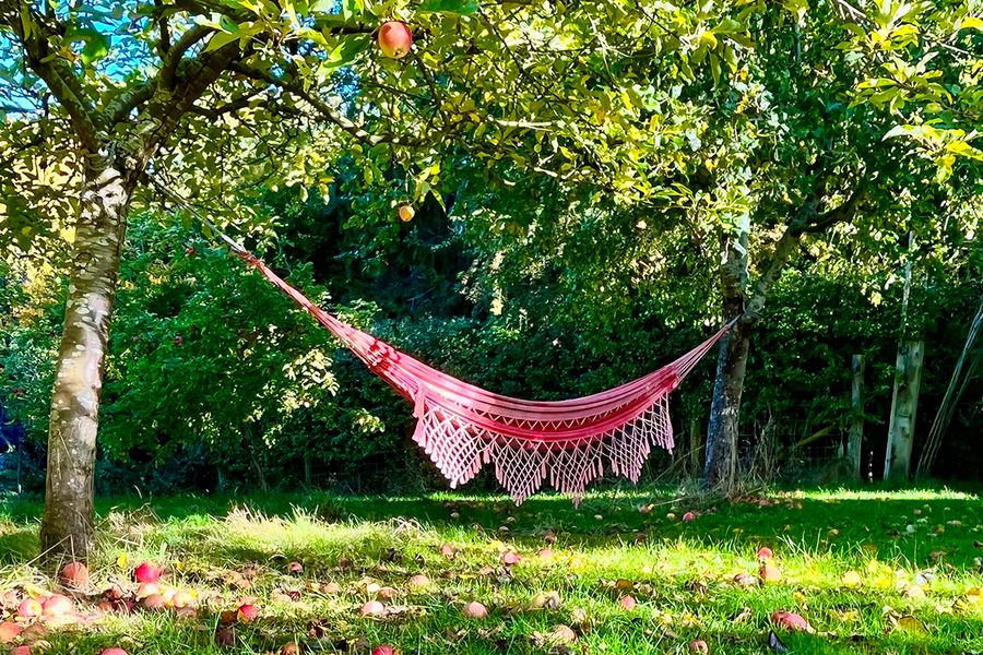 Un hamac est suspendu à un pommier dans un jardin, illustrant les idées de vacances à la maison relaxantes de Photobox.