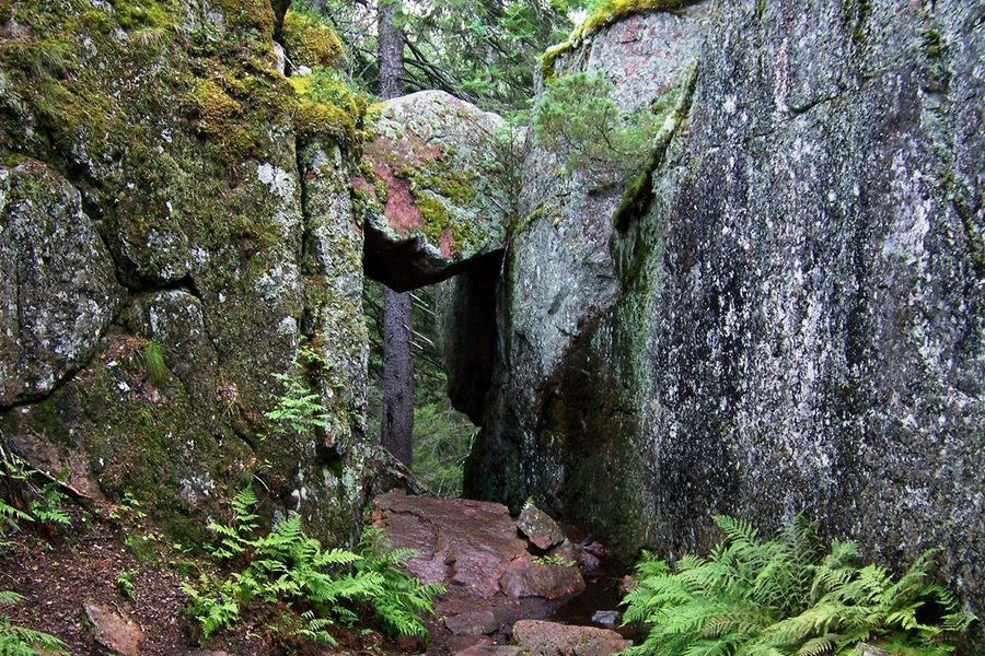 D'épaisses forêts d'épicéas rencontrent les côtes rocheuses de la mer Baltique au parc national de Skuleskogen sur la Côte Haute de Suède, l'un des meilleurs parcs nationaux d'Europe présentés dans le guide de Photobox.