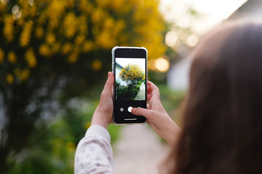 Une personne prend en photo un joli buisson aux fleurs jaunes, illustrant à quelle vitesse la pellicule photo peut se surcharger dans le guide de Photobox sur le tri des photos.