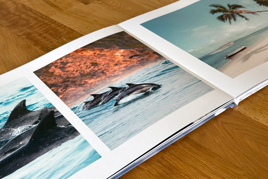 Une double page ouverte du livre photo de Charl van Rooy présente des images tropicales, dont des dauphins en train de nager et une scène de plage tropicale, illustrant la narration visuelle de son portfolio photographique.