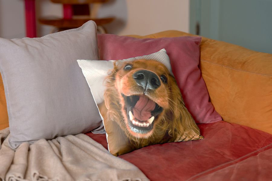 Un coussin personnalisé avec une photo de chien est posé sur un canapé en velours rouge, illustrant comment un coussin Photobox apporte une texture douce à une maison hygge.