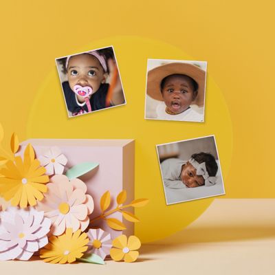 Magnets Photo