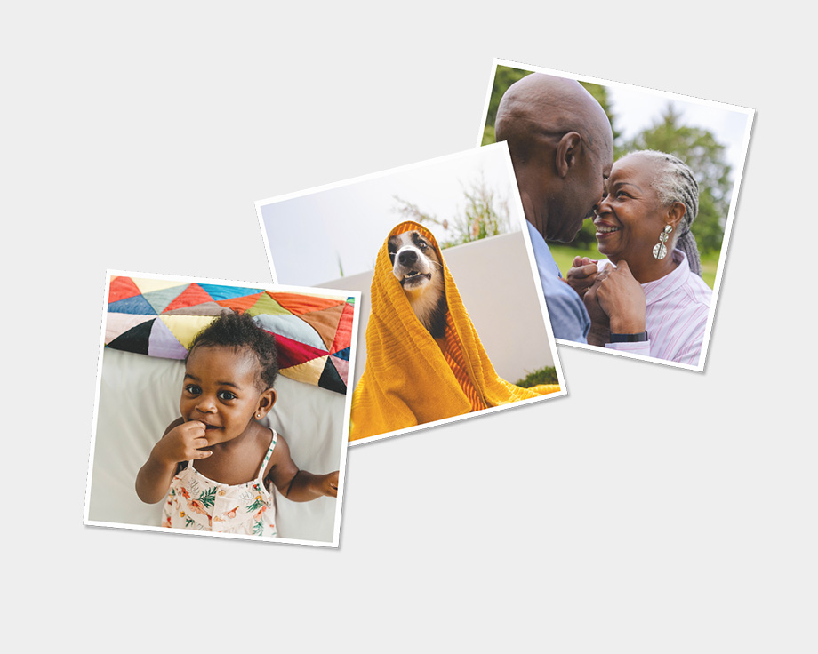 Trois magnets avec des photos d'un chien et d'une famille