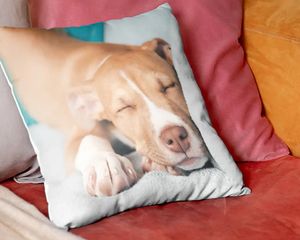 Un coussin personnalisé Photobox avec la photo d’un chien, pour inspirer un cadeau personnalisé rapide en 15 minutes et une idée de cadeau photo facile.