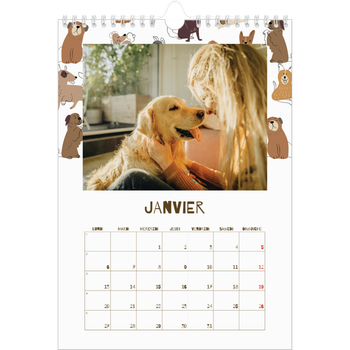 Calendrier photo A4 — Chiot joueur