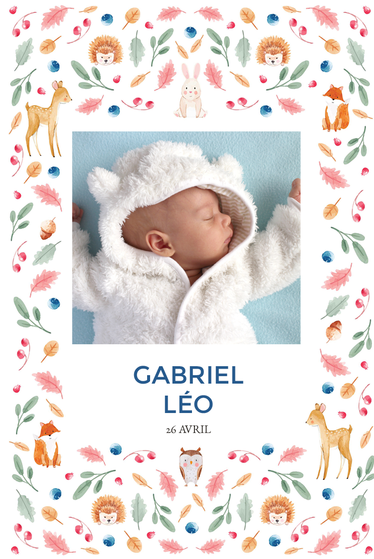 Cartons d'invitation — Animaux de la forêt