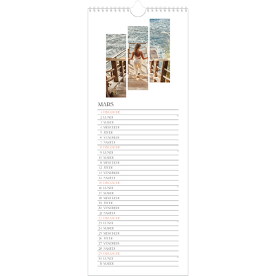 Calendrier mural long  — Fragments de voyage [Mars]