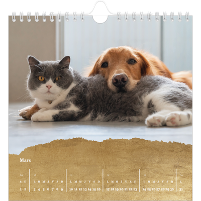 Calendriers annuels carré — Classic Gold [Mars]