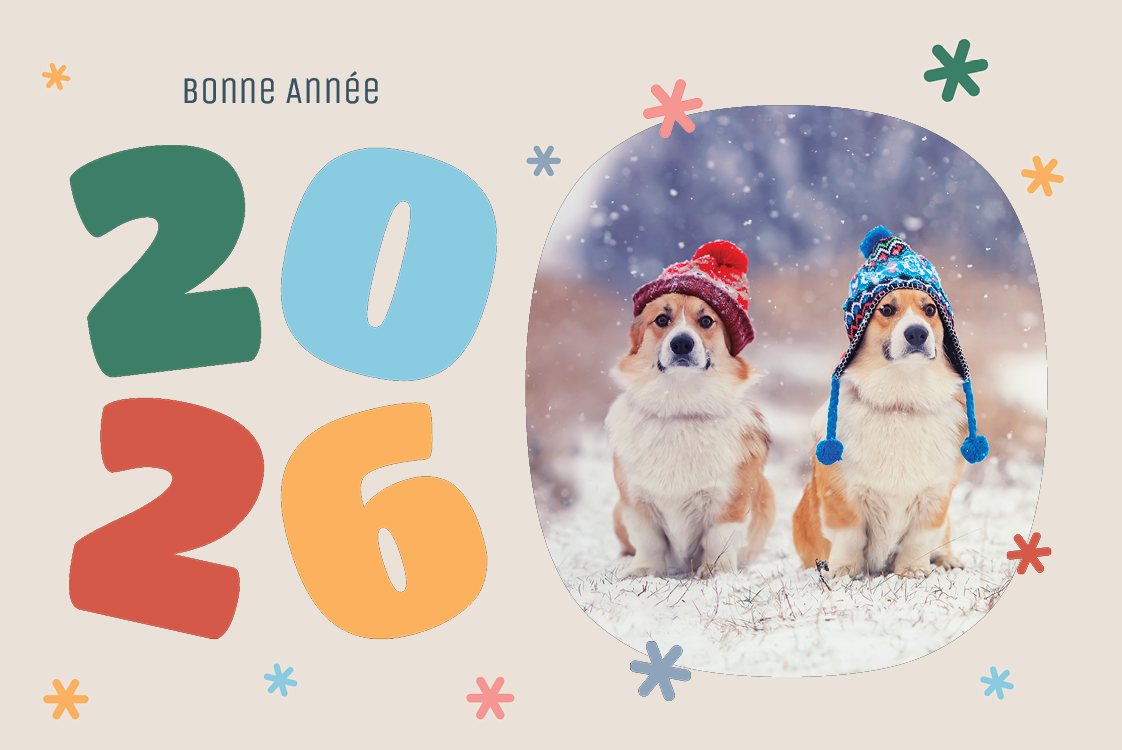 Faire-part & Cartes — Patchwork de couleurs