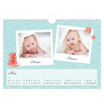 Calendrier photo A4 — Mes petits animaux [couverture]