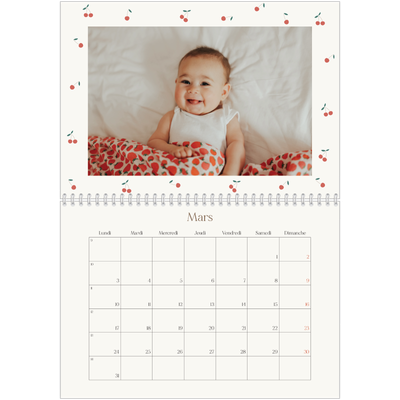 Calendrier photo A4 double (30 x 40 cm) — Cerise sur le bonheur [Mars]