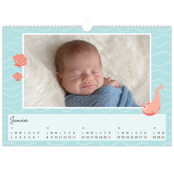 Calendrier photo A3 — Mes petits animaux