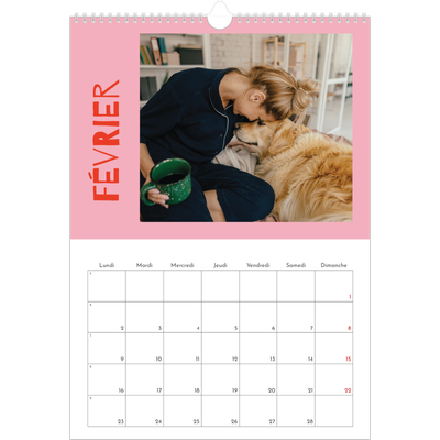 A3 Calendrier annuel — Tout en couleurs [Février]