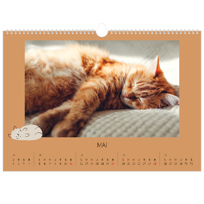 Calendrier photo A3 — Chaton joueur [couverture]