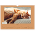 Calendrier photo A3 — Chaton joueur [couverture]