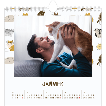 Calendrier photo carré — Chaton joueur