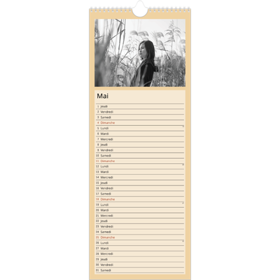 Calendrier mural long  — Pastels [couverture]