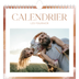 Calendriers annuels carré — Effet pinceau [couverture]
