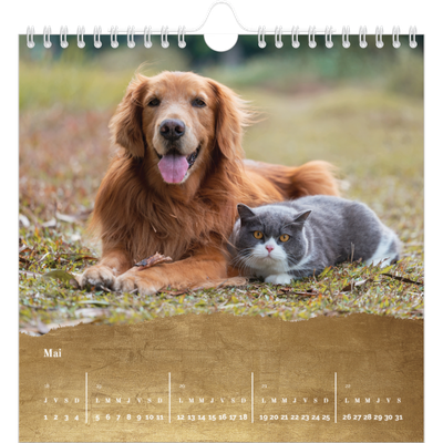 Calendriers annuels carré — Classic Gold [couverture]