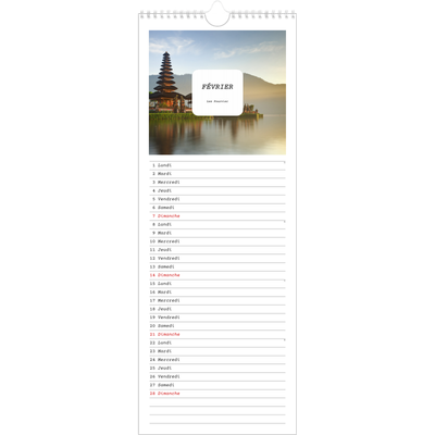 Calendrier mural long  — Toute l'histoire [Février]
