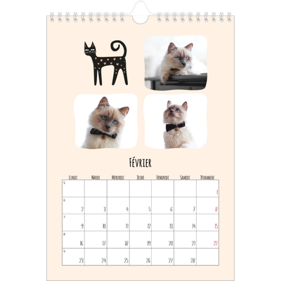 Calendrier photo A4 (20 x 30 cm) — Pattes de chat et gribouillis [Février]