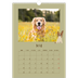 A3 Calendrier annuel — Chiot joueur [couverture]