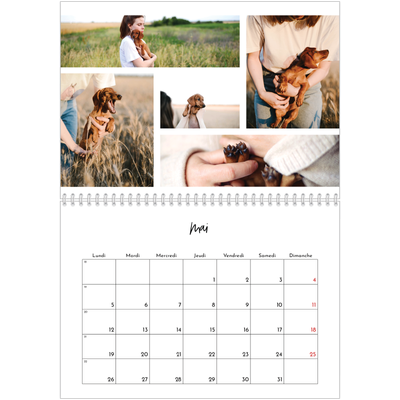 Calendrier photo A4 double (30 x 40 cm) — Arrangements photo [couverture]