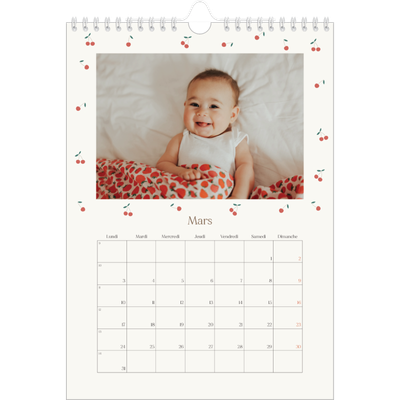 Calendrier photo A4 (20 x 30 cm) — Cerise sur le bonheur [Mars]