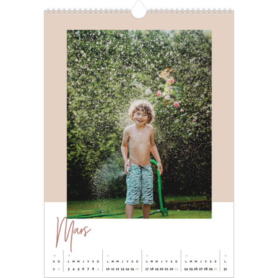 A3 Calendrier annuel — Palette naturelle [Mars]