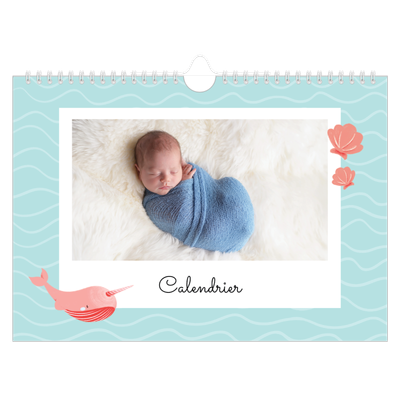 Calendrier photo A4 — Mes petits animaux [couverture]