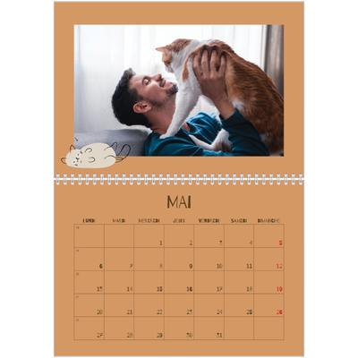 Calendrier photo A4 double (30 x 40 cm) — Chaton joueur [couverture]