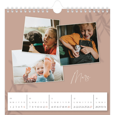 Calendriers annuels carré — Terre à terre [Mars]