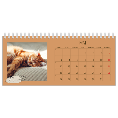Calendrier de bureau — Chaton joueur [couverture]
