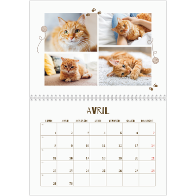 Calendrier photo A4 double (30 x 40 cm) — Chaton joueur [Avril]