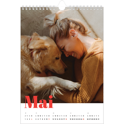 Calendrier photo A4 (20 x 30 cm) — Une année audacieuse [couverture]