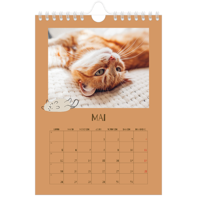 Calendrier photo A5 — Chaton joueur [couverture]