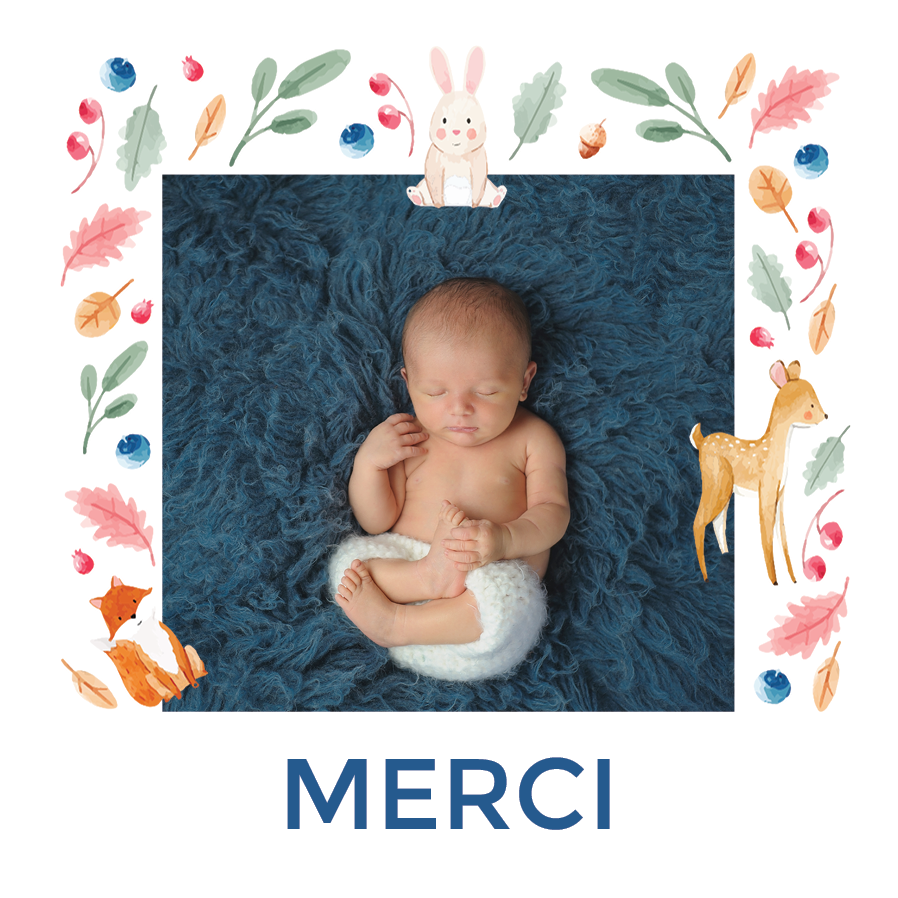 Carte de remerciement — Animaux de la forêt