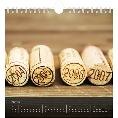 Calendriers annuels carré — Panorama [Février]