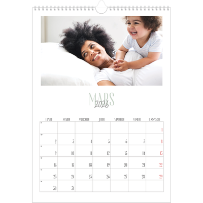 A3 Calendrier annuel — Mix de typographies [Mars]