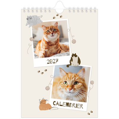 Calendrier photo A5 — Chaton joueur [couverture]