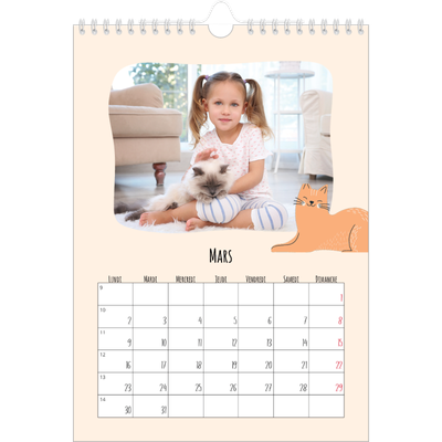Calendrier photo A4 (20 x 30 cm) — Pattes de chat et gribouillis [Mars]