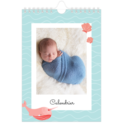 Calendrier photo A5 — Mes petits animaux [couverture]