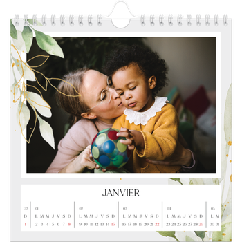Calendrier photo carré — Éclaboussure florale