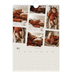Calendrier photo A5 — Souvenirs en mouvement [couverture]