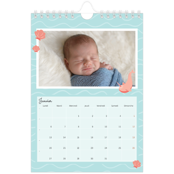 Calendrier photo A5 — Mes petits animaux