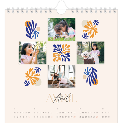 Calendriers annuels carré — Coraux minimalistes [couverture]